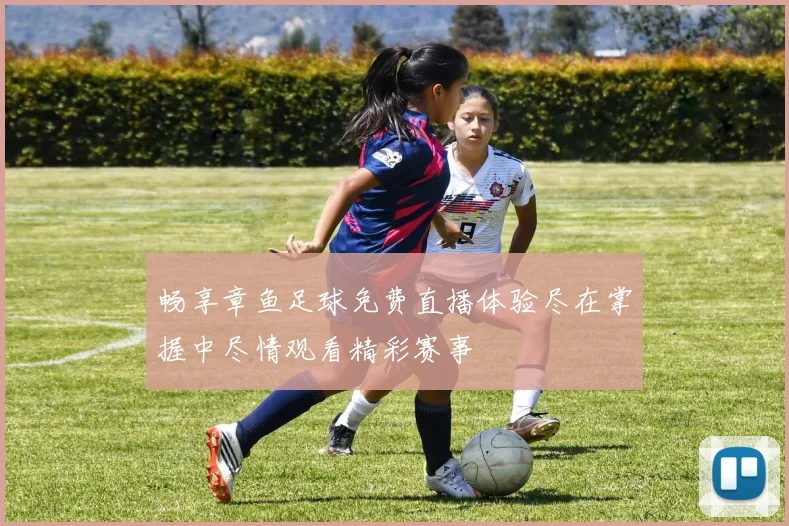 畅享章鱼足球免费直播体验尽在掌握中尽情观看精彩赛事