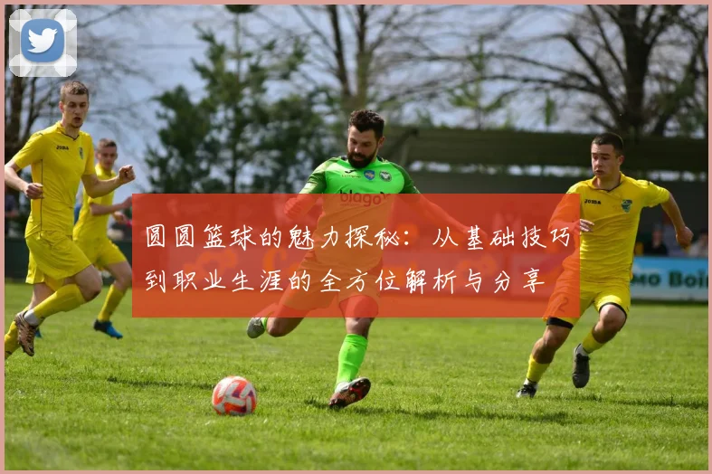 圆圆篮球的魅力探秘：从基础技巧到职业生涯的全方位解析与分享