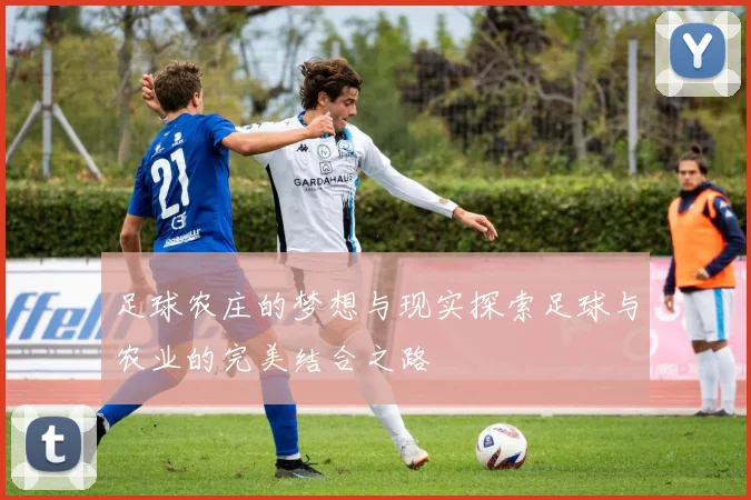 足球农庄的梦想与现实探索足球与农业的完美结合之路